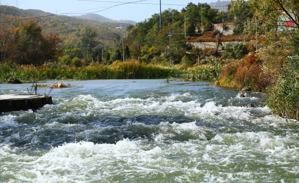 黨建互聯(lián) 支部共建 北京市永定河綜合治理與生態(tài)修復(fù)領(lǐng)導(dǎo)小組辦公室與公司聯(lián)合開展主題黨日活動(dòng) 黨建互聯(lián) 支部共建 北京市永定河綜合治理與生態(tài)修復(fù)領(lǐng)導(dǎo)小組辦公室與公司聯(lián)合開展主題黨日活動(dòng)