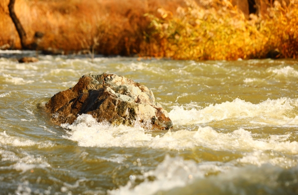 黨建互聯(lián) 支部共建 北京市永定河綜合治理與生態(tài)修復(fù)領(lǐng)導(dǎo)小組辦公室與公司聯(lián)合開展主題黨日活動(dòng) 黨建互聯(lián) 支部共建 北京市永定河綜合治理與生態(tài)修復(fù)領(lǐng)導(dǎo)小組辦公室與公司聯(lián)合開展主題黨日活動(dòng)