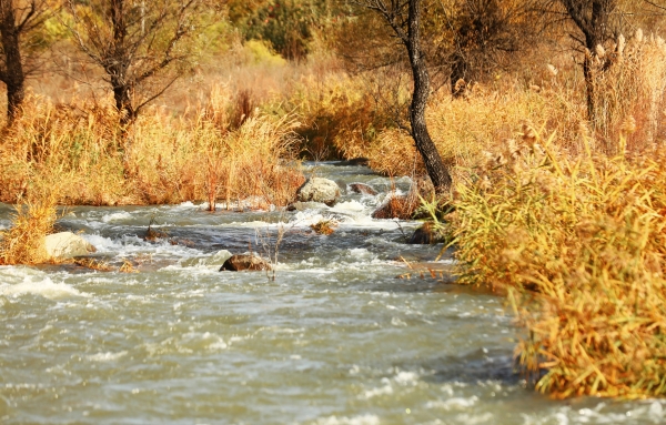 黨建互聯(lián) 支部共建 北京市永定河綜合治理與生態(tài)修復(fù)領(lǐng)導(dǎo)小組辦公室與公司聯(lián)合開展主題黨日活動(dòng) 黨建互聯(lián) 支部共建 北京市永定河綜合治理與生態(tài)修復(fù)領(lǐng)導(dǎo)小組辦公室與公司聯(lián)合開展主題黨日活動(dòng)