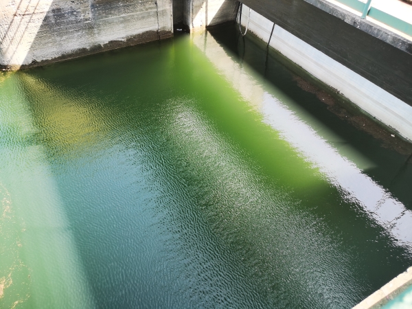 雜物清理后 雜物清理后