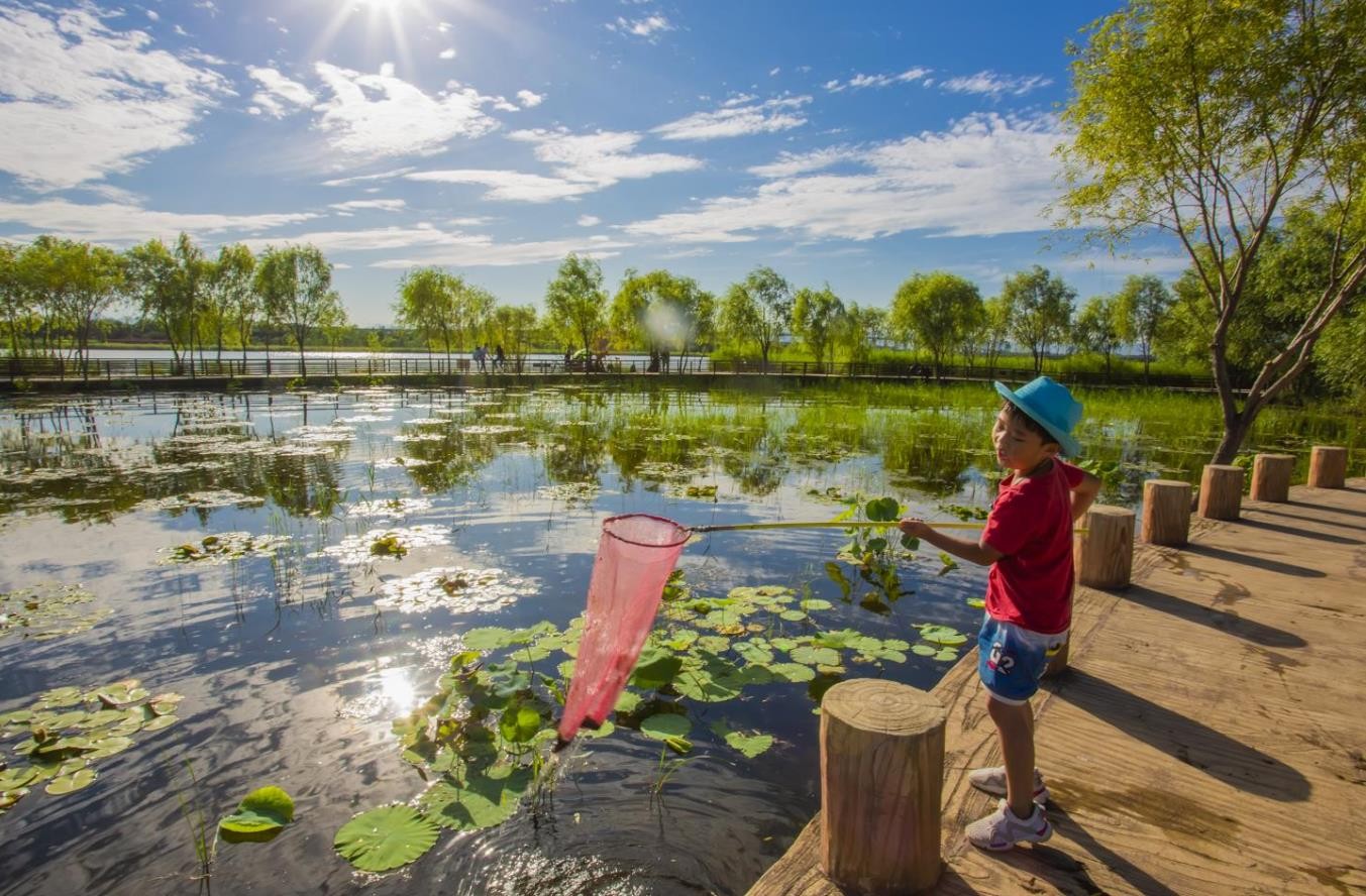 宛平湖畔童趣