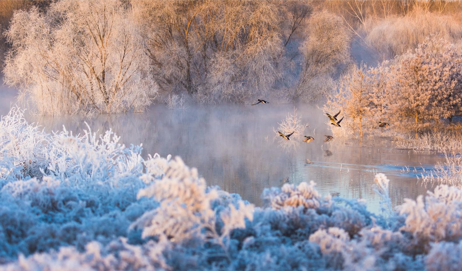 永定河霧凇秘境