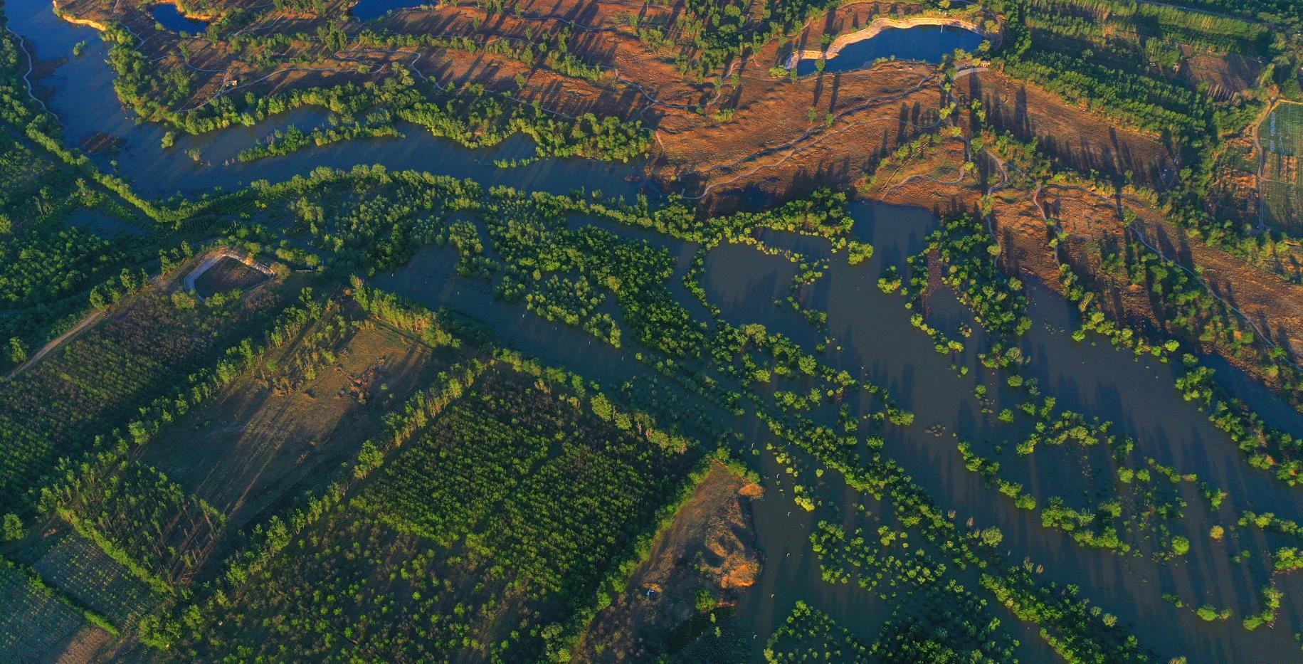 生態(tài)補水盎然生機