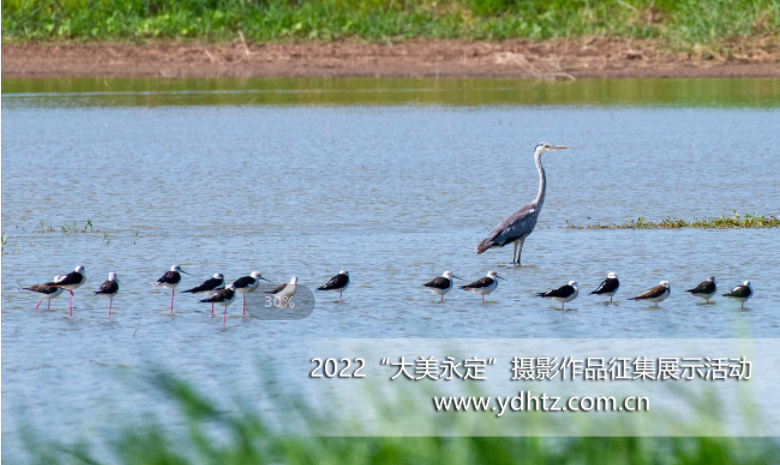第三屆“大美永定”攝影征集活動 第二批入圍作品新鮮出爐 第三屆“大美永定”攝影征集活動 第二批入圍作品新鮮出爐