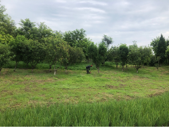 天津市東麗郊野公園PPP項(xiàng)目順利通過2022年下半年運(yùn)維績效考核 天津市東麗郊野公園PPP項(xiàng)目順利通過2022年下半年運(yùn)維績效考核