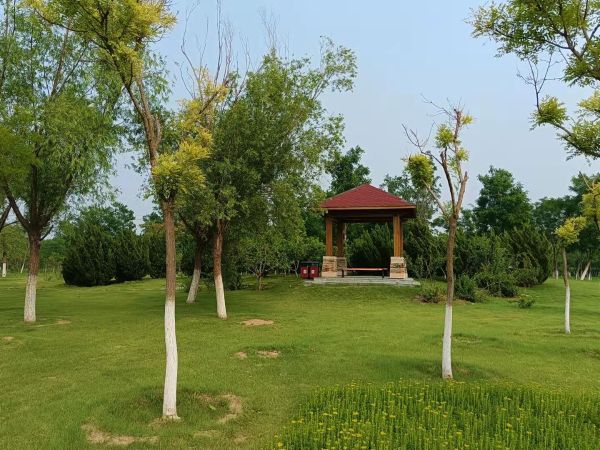 天津市東麗郊野公園PPP項目順利通過2022年上半年運維績效考核 天津市東麗郊野公園PPP項目順利通過2022年上半年運維績效考核